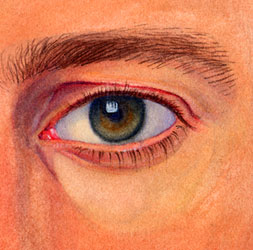 eye illustration