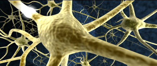 nerves image